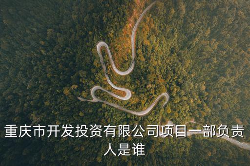 重慶市開發投資有限公司項目一部負責人是誰
