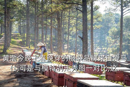 黃渤春晚,除夕夜20點(diǎn)以外的春晚