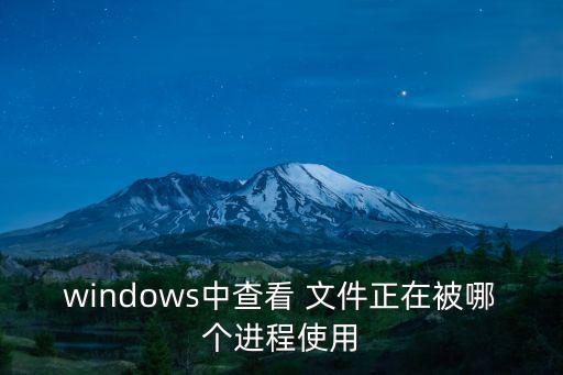 windows中查看 文件正在被哪個進程使用