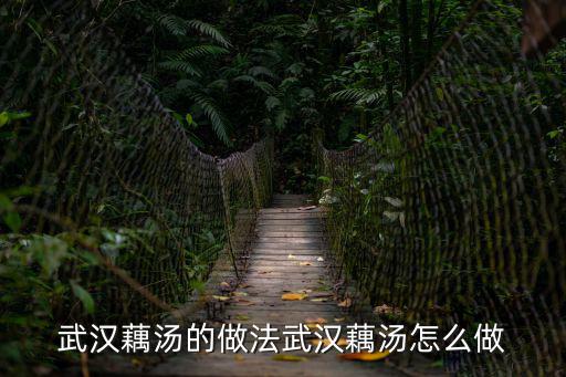 武漢藕湯的做法武漢藕湯怎么做