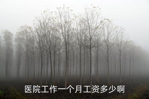 醫院工作一個月工資多少啊
