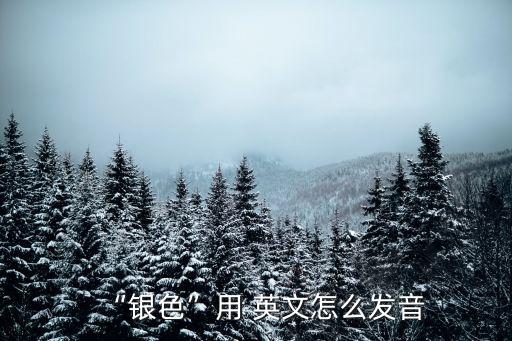 “銀色”用 英文怎么發音