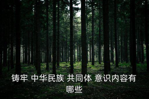 中華民族共同體意識,鑄造中華民族共同體意識三步驟:一文讀懂