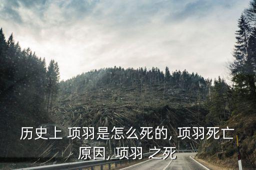 歷史上 項羽是怎么死的, 項羽死亡原因, 項羽 之死