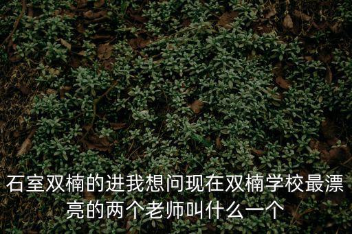 成都市石室小學老師，請問成都石室聯中的趙國勇老師數學教的好不好啊