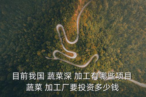 目前我國 蔬菜深 加工有哪些項目 蔬菜 加工廠要投資多少錢