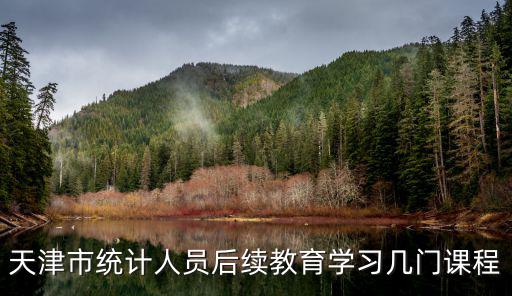 天津市統計人員后續教育學習幾門課程