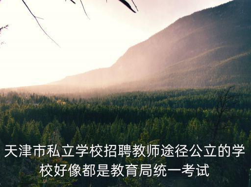 天津市私立學(xué)校招聘教師途徑公立的學(xué)校好像都是教育局統(tǒng)一考試
