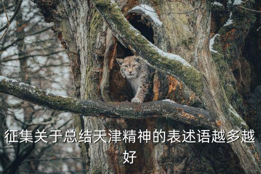 征集關于總結天津精神的表述語越多越好