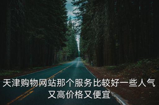 天津購物網(wǎng)站那個服務(wù)比較好一些人氣又高價格又便宜