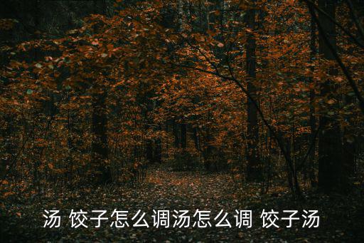 湯 餃子怎么調(diào)湯怎么調(diào) 餃子湯