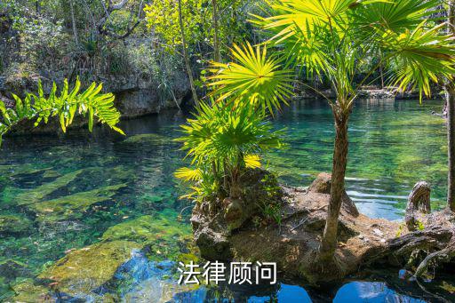 法律顧問