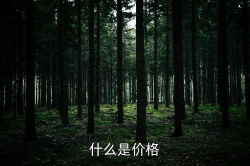 什么是價格