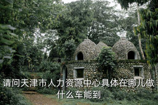 請(qǐng)問天津市人力資源中心具體在哪兒做什么車能到