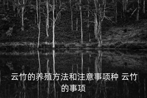 云竹怎么養(yǎng),養(yǎng)殖云竹注意事項(xiàng)不要急著收盆