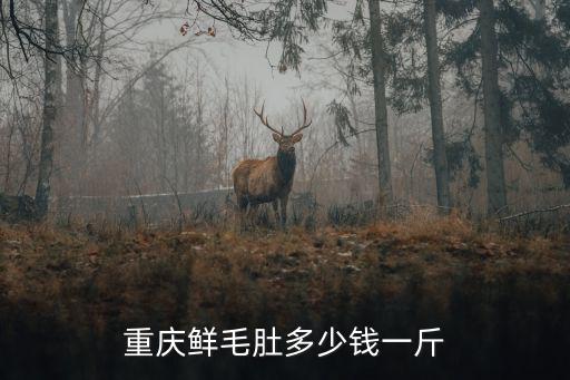 重慶鮮毛肚多少錢一斤