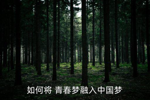 如何將 青春夢融入中國夢