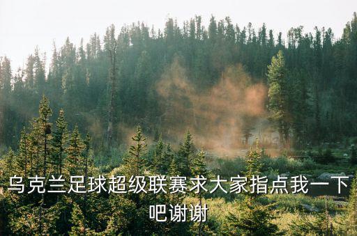 烏克蘭足球超級聯(lián)賽求大家指點我一下吧謝謝