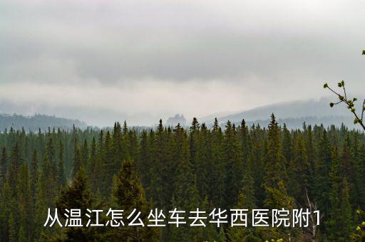 從溫江怎么坐車去華西醫院附1