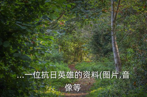 ...一位抗日英雄的資料(圖片,音像等