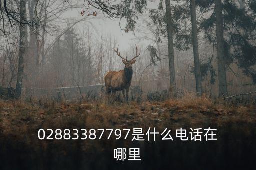 02883387797是什么電話在哪里