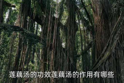 蓮藕湯的功效蓮藕湯的作用有哪些