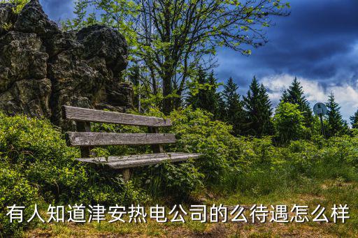 天津市城安熱電公司，天津市津安熱電公司待遇如何