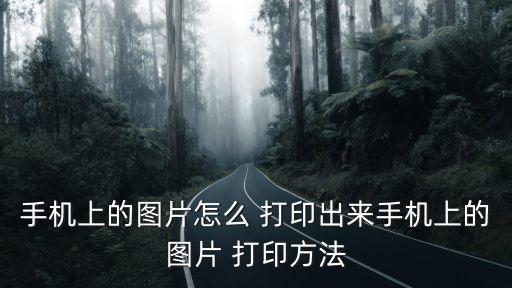 圖片怎么打印出來,如何進行圖-more-打印?