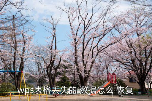 Wps數據恢復,如何使用wps自動備份文檔?