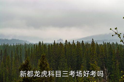 成都市新都區考科三，新都有科一科二科三駕校考場嗎