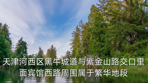 天津河西區(qū)黑牛城道與紫金山路交口里面賓館西路周圍屬于繁華地段