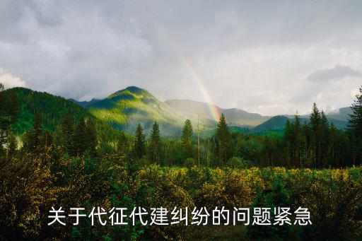 關于代征代建糾紛的問題緊急