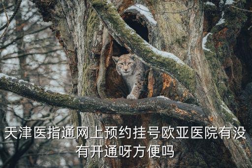 天津醫(yī)指通網(wǎng)上預(yù)約掛號(hào)歐亞醫(yī)院有沒(méi)有開通呀方便嗎