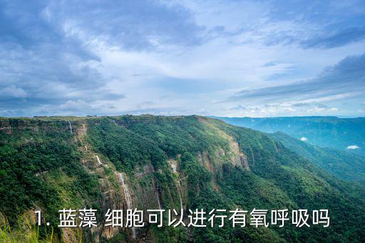1. 藍藻 細胞可以進行有氧呼吸嗎