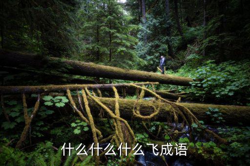什么什么什么飛成語