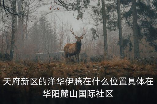 天府新區的洋華伊騰在什么位置具體在華陽麓山國際社區
