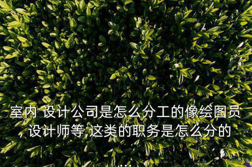 室內 設計公司是怎么分工的像繪圖員, 設計師等,這類的職務是怎么分的...