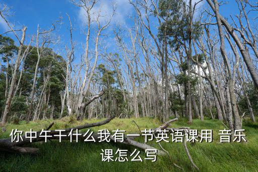 你中午干什么我有一節英語課用 音樂課怎么寫