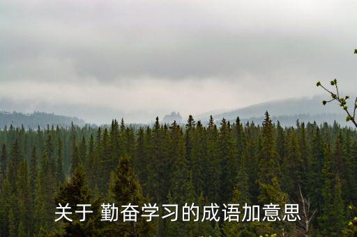 勤奮好學的意思,勤政勤奮比喻勤奮勤奮努力