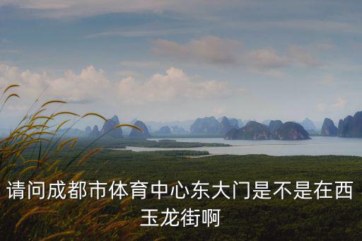 請問成都市體育中心東大門是不是在西玉龍街啊