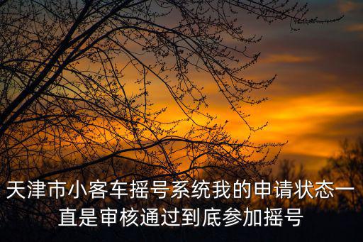 天津市小客車搖號(hào)系統(tǒng)我的申請(qǐng)狀態(tài)一直是審核通過(guò)到底參加搖號(hào)