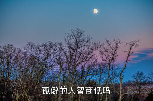 孤僻的人智商低嗎