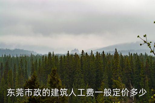 東莞市政的建筑人工費一般定價多少