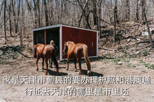 天津市薊縣伊甸健康養老院門面圖片，家是天津市薊縣的要辦理護照和港澳通行證去天津的哪里是市里還