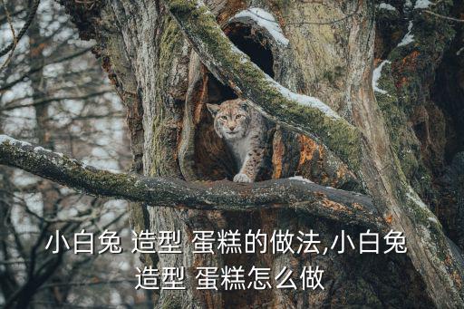 小白兔 造型 蛋糕的做法,小白兔 造型 蛋糕怎么做