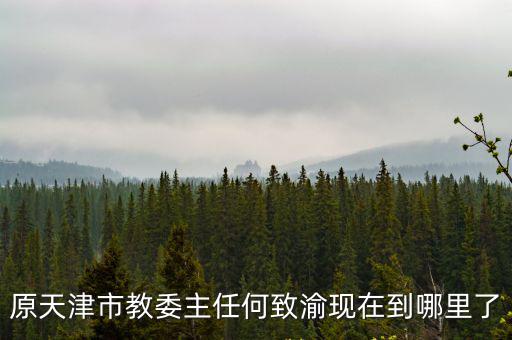 天津市臺辦 李想，原天津市教委主任何致渝現在到哪里了