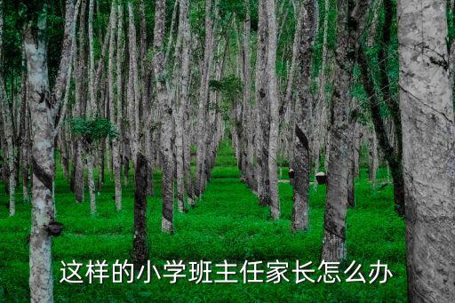 這樣的小學班主任家長怎么辦