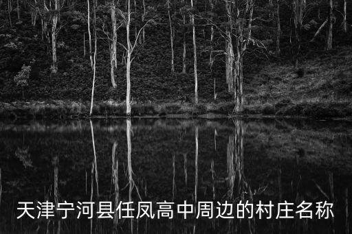 天津?qū)幒涌h任鳳高中周邊的村莊名稱