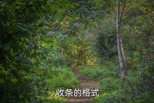收條,第一集:如何收到人民幣現金?