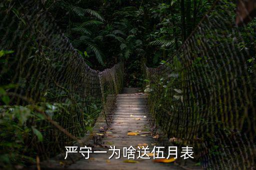  嚴(yán)守一為啥送伍月表